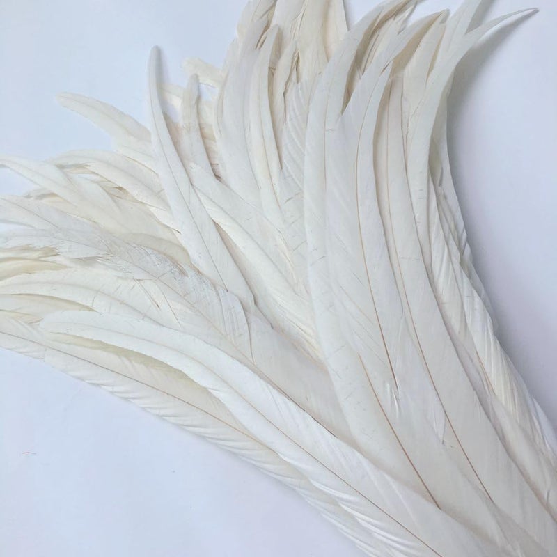 Shekyeon 16-18inch 40-45cm Rooster Coque Tail Feather for Costume Decoration Pack of 20 (Beige/Ivory) - Image 3